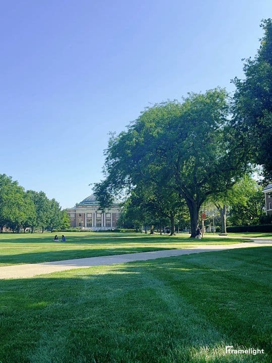 Tree-lined campus lawn on a clear morning