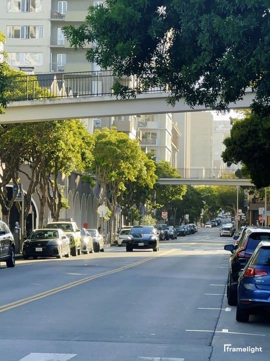 Sunlit tree-lined city street